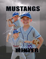 Mustangs