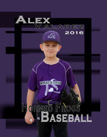 Horned Frogs